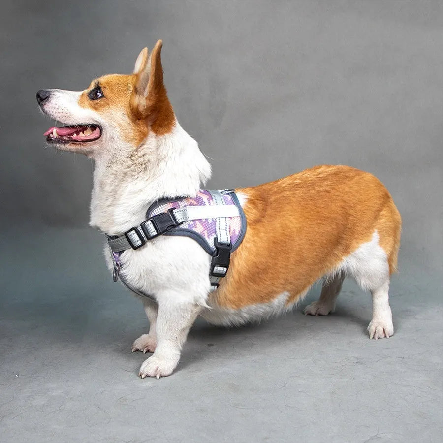 Colourful reflective anti-strangulation pet harness made from polyester in multiple sizes for dogs