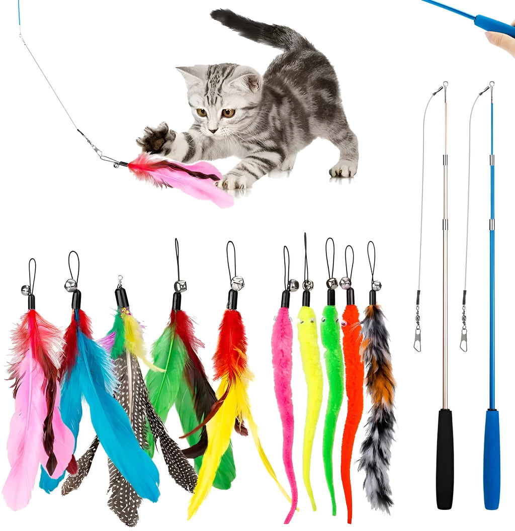 Cat teasing pole toy set showing two handheld fishing rod wands and assorted feather replacement heads.