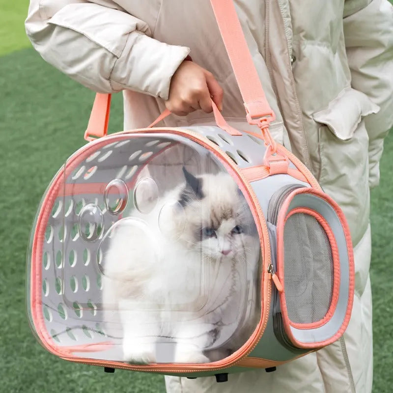 Transparent hard-shell cat backpack carrier in space capsule design with foldable feature