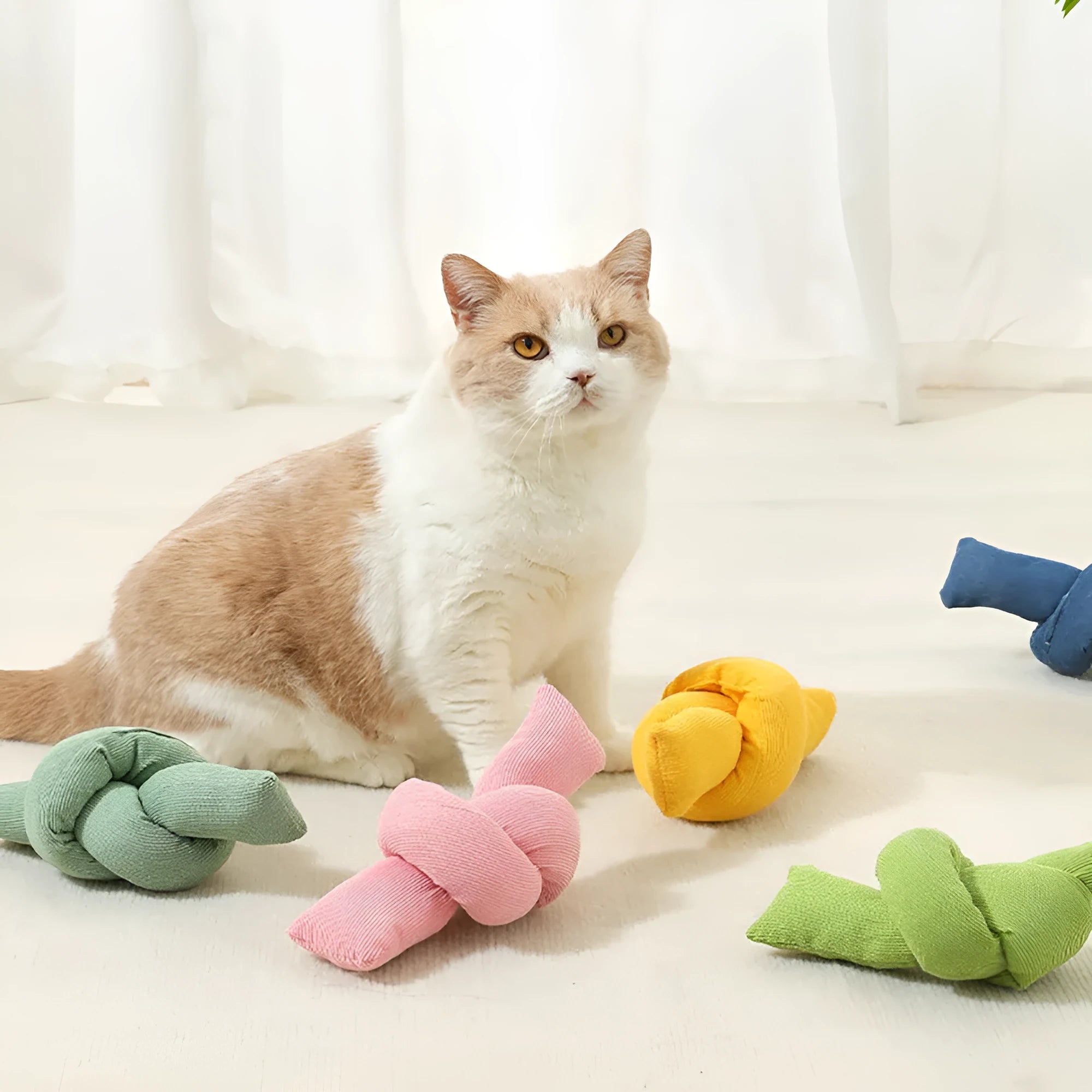White cotton knotted rope bone dog toy for tug of war and chewing.