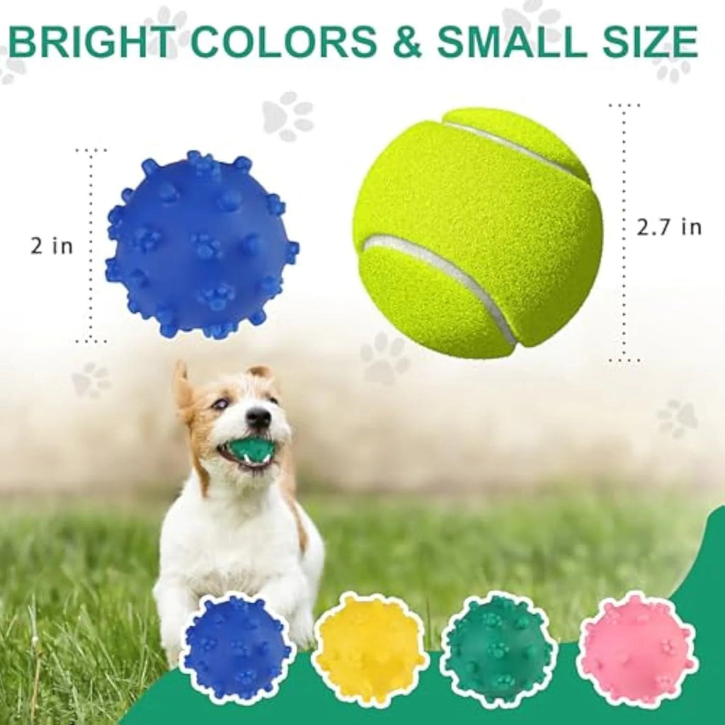 Bright coloured spiky dog toy balls for small puppies with squeaky features