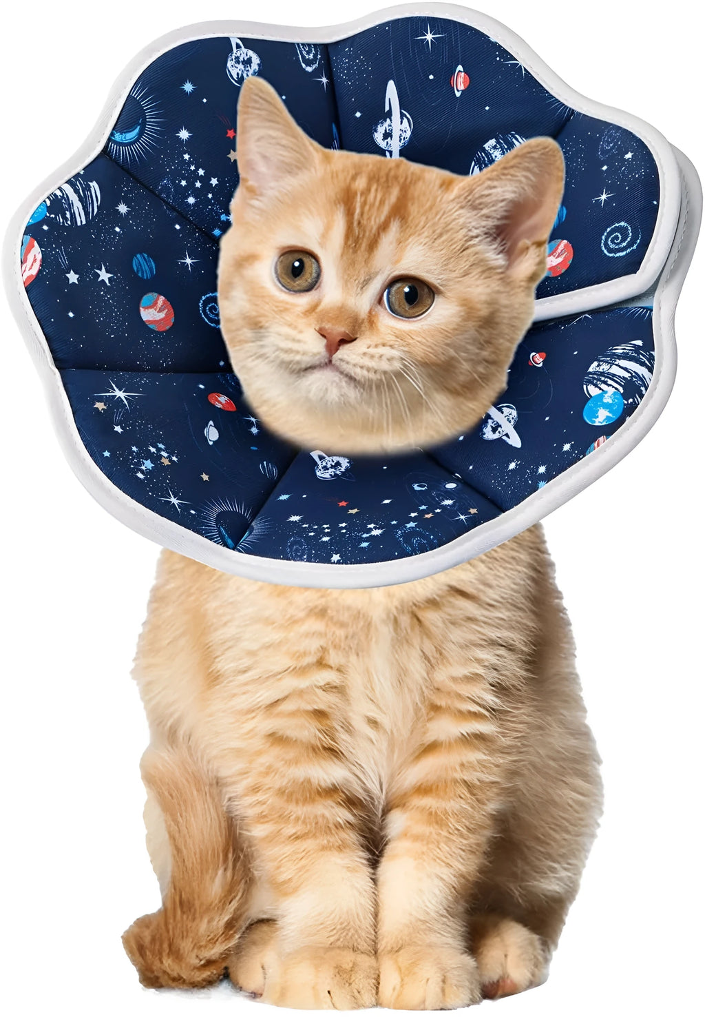 Soft adjustable cat recovery cone collar in constellation pattern on a small cat