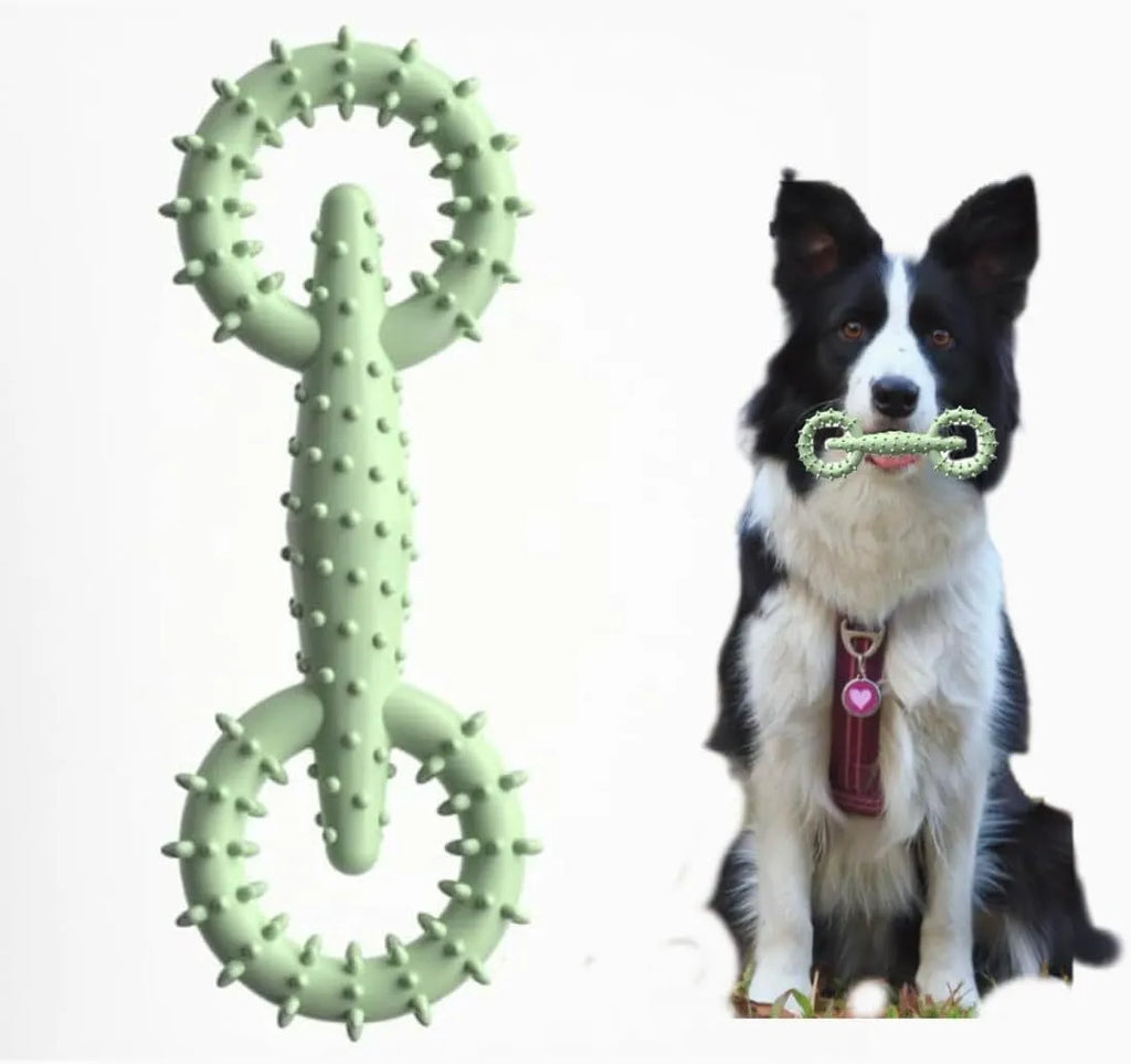 TPR dog chew toy ring for teething puppies in blue, green or pink colours measuring 16x5.8cm