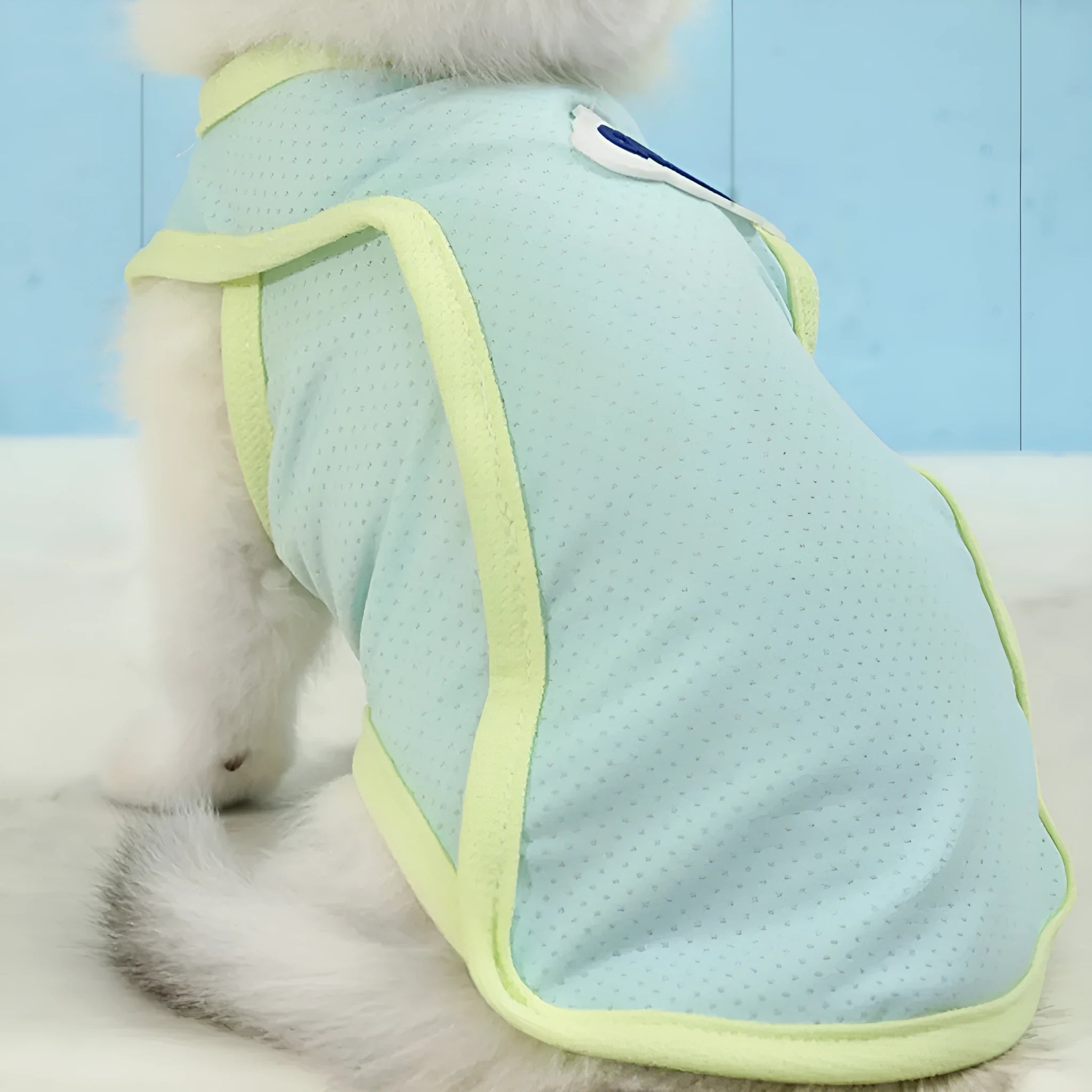 Lightweight polyester mesh cat vest in grass green colour with sports styling