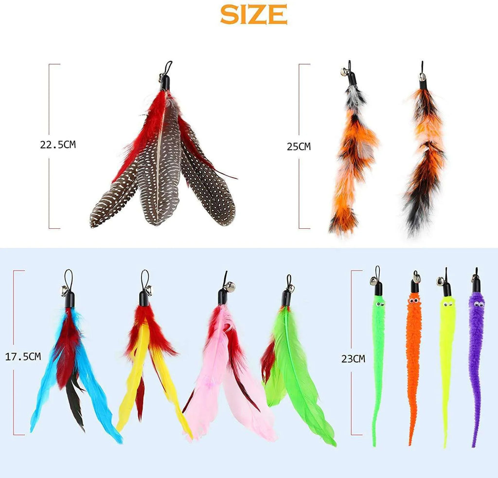Cat teasing pole toy set showing two handheld fishing rod wands and assorted feather replacement heads.