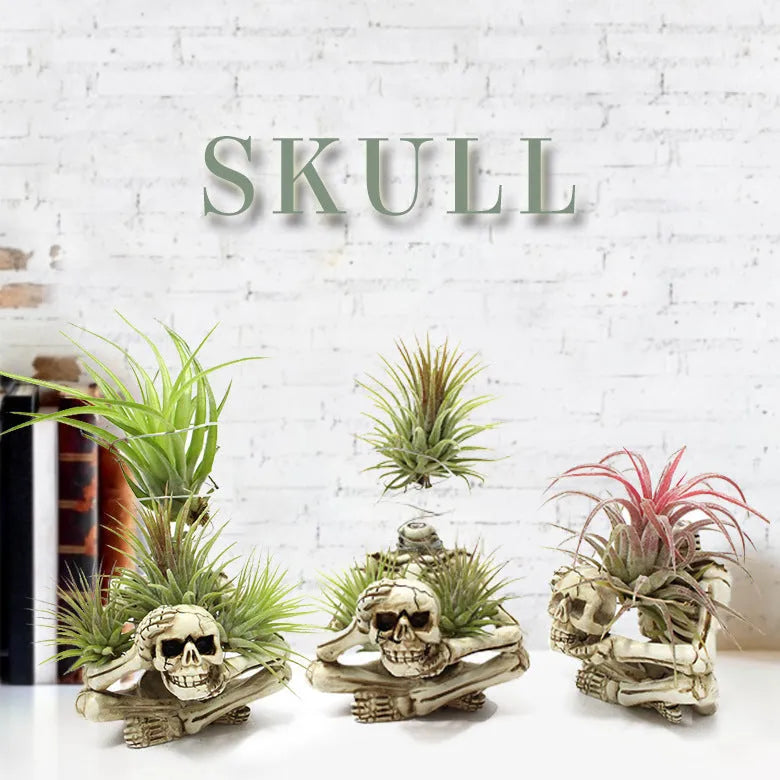 Gothic style resin Tillandsia bracket with skull decoration for air plants, measuring 7cm by 8cm by 12.5cm.
