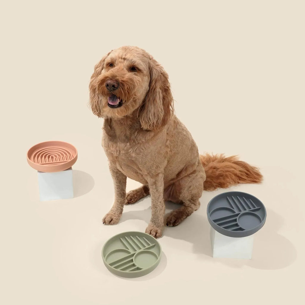 Silicone slow feeder dog bowl with ridges, shown in mustard green colour