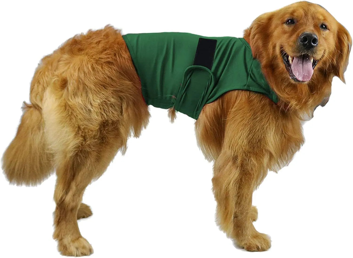 Dog wearing brown brocade cotton tank top designed for separation anxiety relief