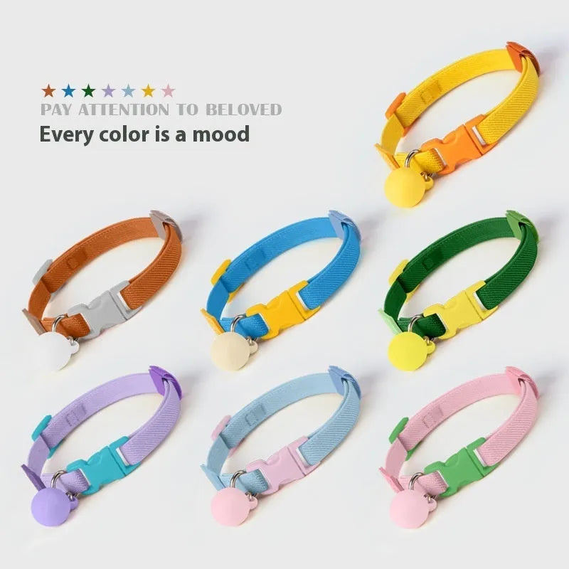 Small elastic polyester dog collar shown in various colours, adjustable from 22 to 32 cm for tiny dog breeds.