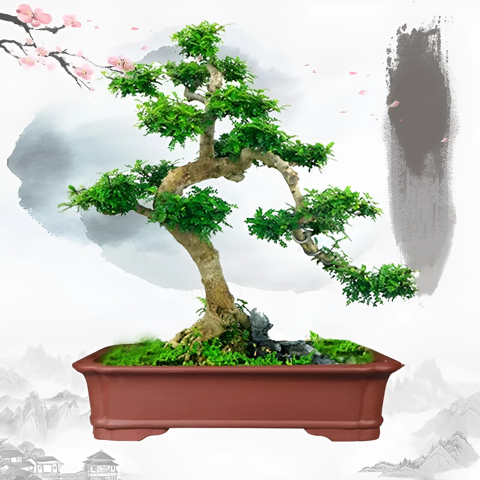 Large rectangular purple clay bonsai flowerpot shown in three available sizes for garden or indoor use.