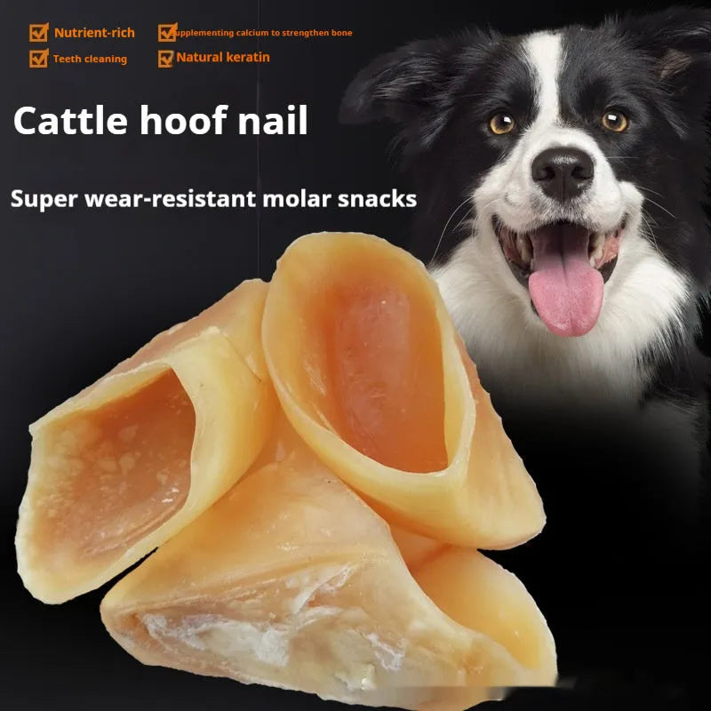Natural cowhide dog chew toy in hoof shell colour, anti bite grinding rod for small and large dogs