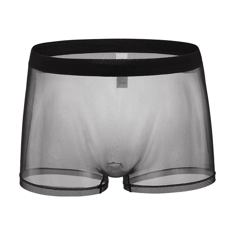 Men's thin sheer mesh boxer briefs in low-waist design, shown in multiple colours.