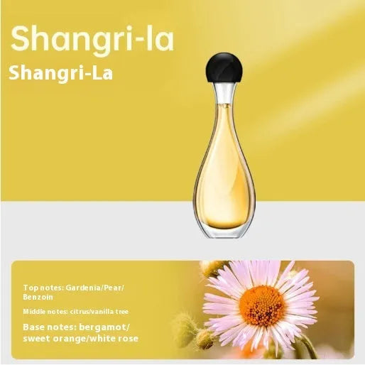 Ultrasonic aroma diffuser with mosquito repellent function in six fragrance colour options