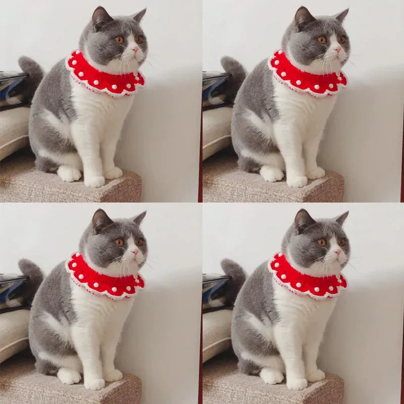 Soft milk cotton knitted collar for small pets with a cartoon pattern, shown in multiple sizes.