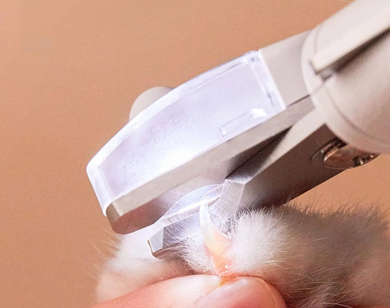 White pet nail clippers with LED light, transparent splash guard, and anti-slip handle.