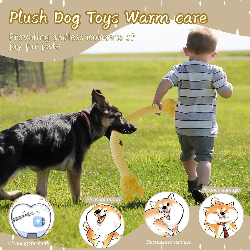 Plush stuffed squeaky crinkle dog toy in brown, gray or yellow colours for small medium large dogs