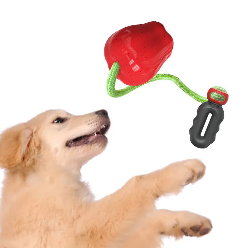 Green apple-shaped plastic dog chew toy with treat-dispensing opening