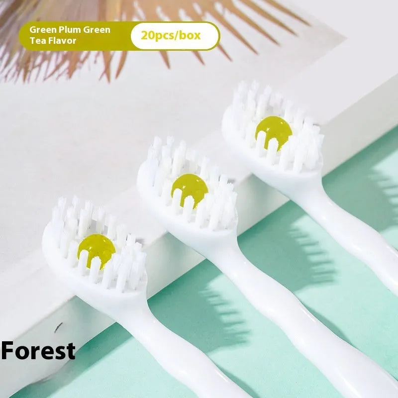 Box of 20 disposable bead toothbrushes with integrated toothpaste for travel