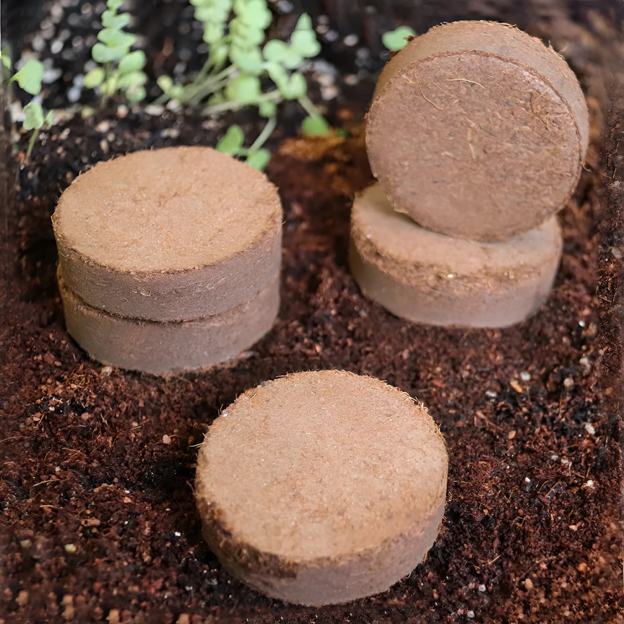 Nutrient soil medium vegetable planting and seedling blocks with various size specifications