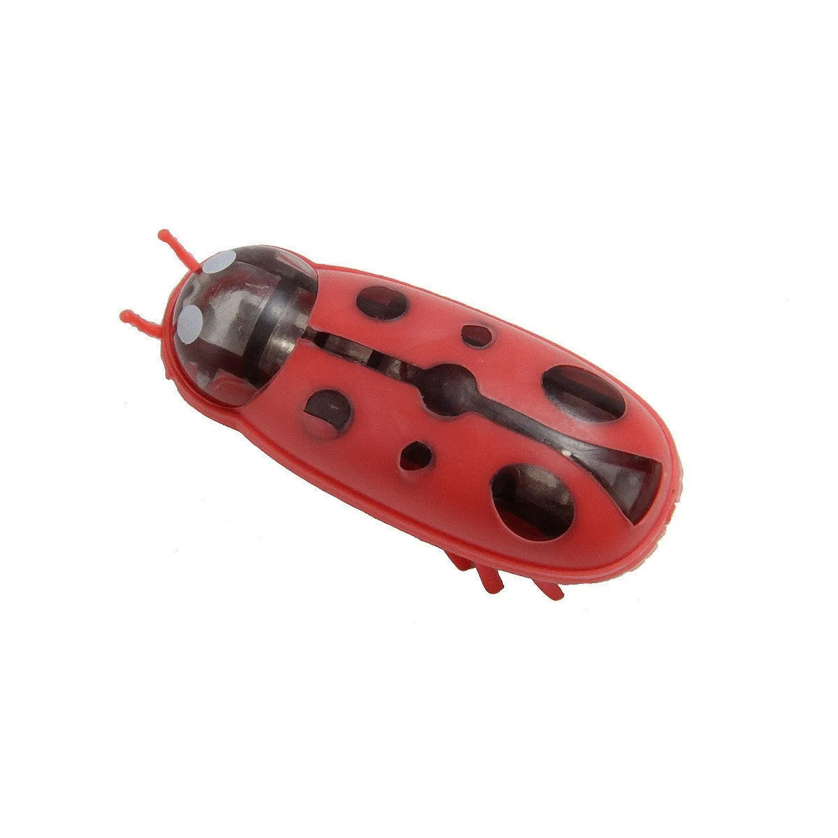 Miniature electric ladybird beetle cat toy on floor showing size and insect shape
