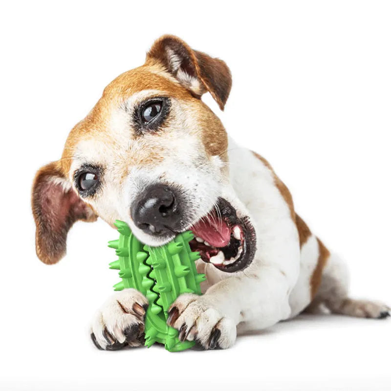 Green cactus-shaped dog toothbrush toy for medium to large aggressive chewers with dental polishing bumps