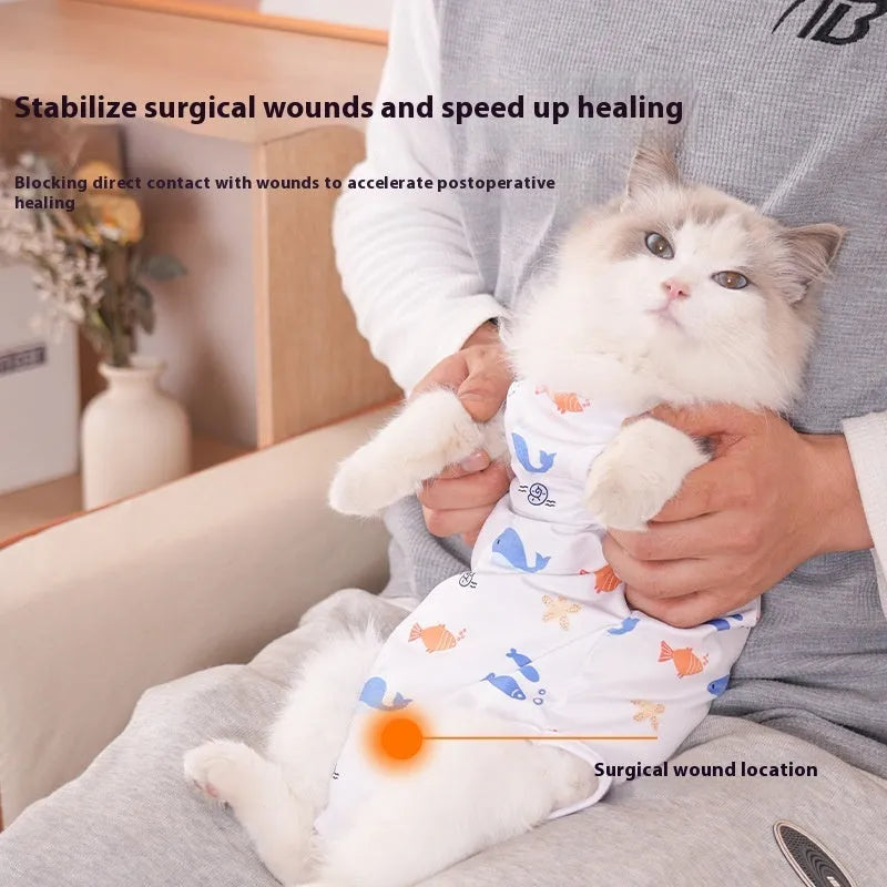 Colourful cat wearing a post-surgery recovery suit with Velcro fastening on its side.