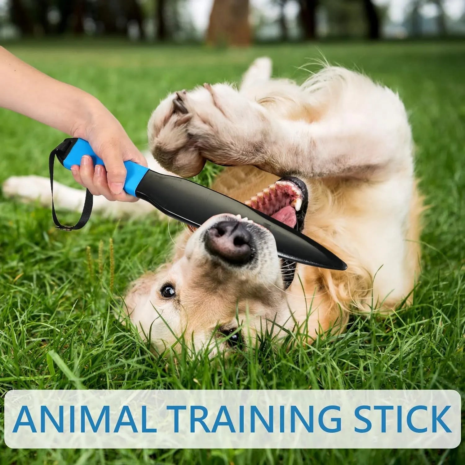 Blue handled nylon dog break stick training tool measuring 35 cm in length.