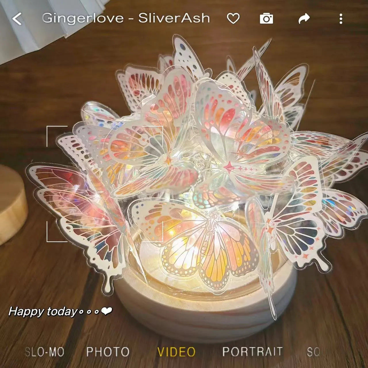 Butterfly night lamp with glass shade on raw wood base, measuring 12x15cm