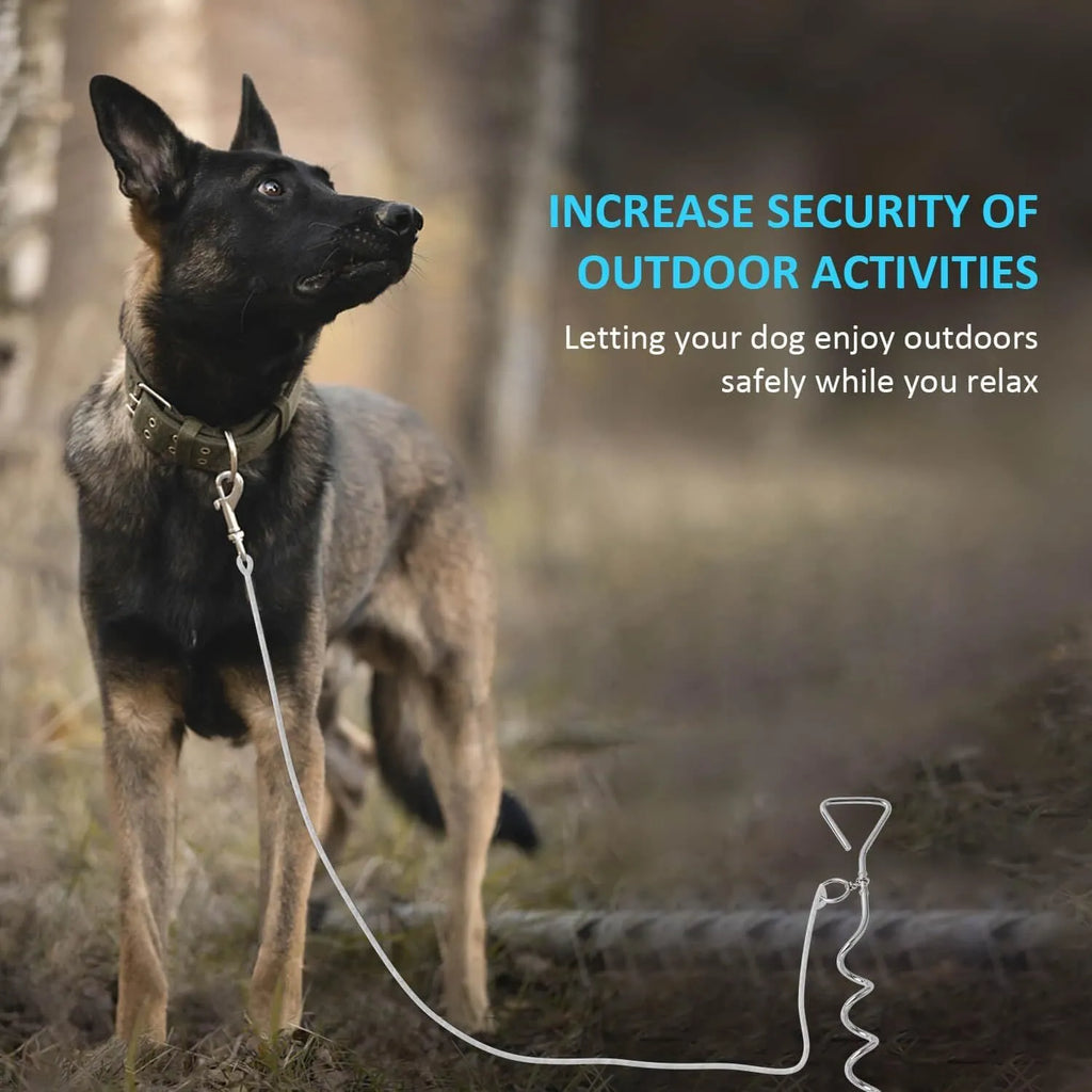 Silver spiral dog tie out stake for ground anchoring in sandy soil conditions