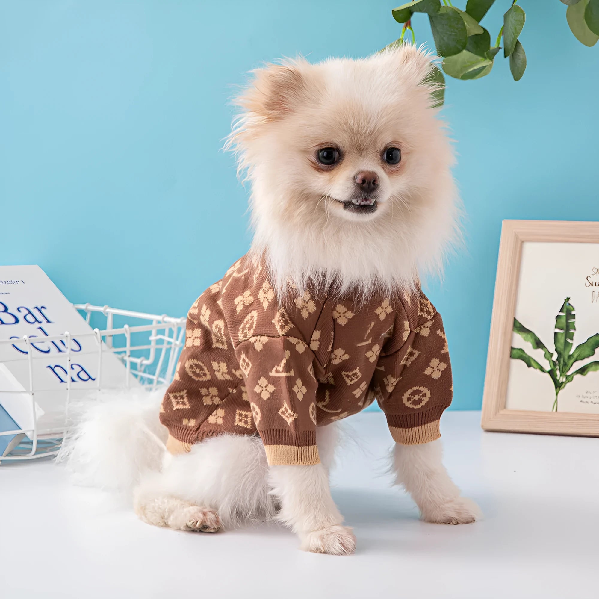 Thick knit wool dog sweater for winter in monochrome or two-tone colours, sizes XS to XXL