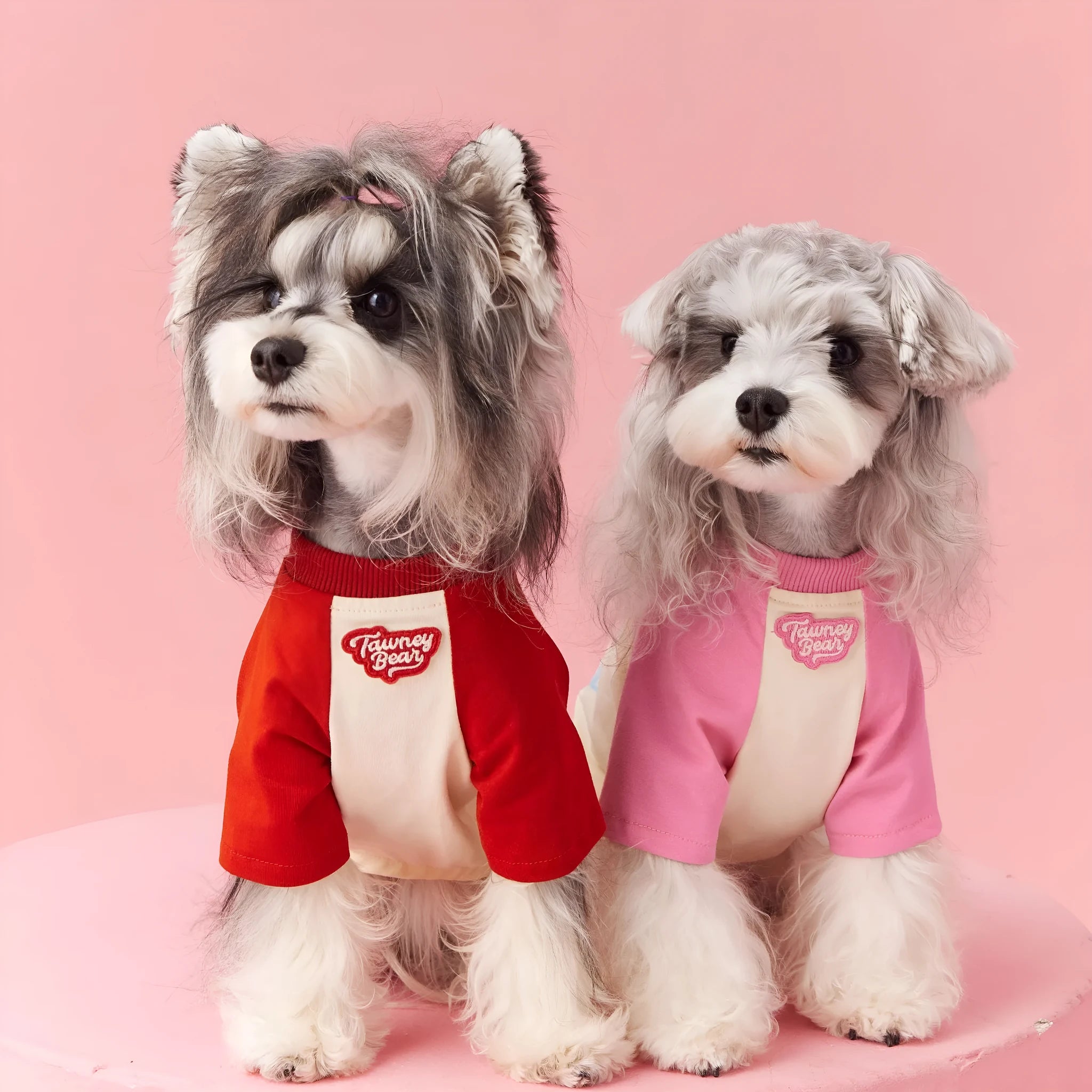 Cotton dog summer clothes with embroidery in red or pink colours, sizes XS to XXL