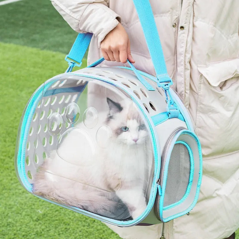 Transparent hard-shell cat backpack carrier in space capsule design with foldable feature