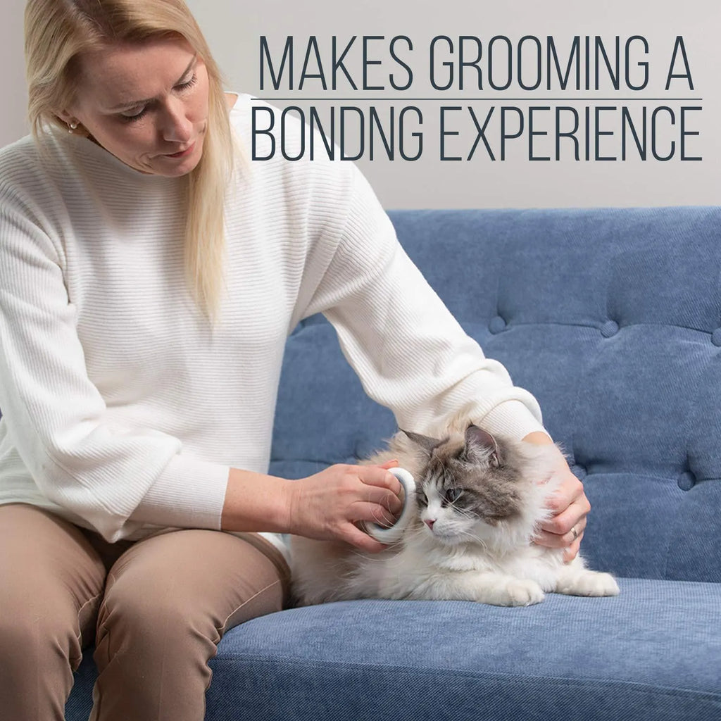 Blue pet deshedding comb with soft teeth and ergonomic plastic handle on a white background.