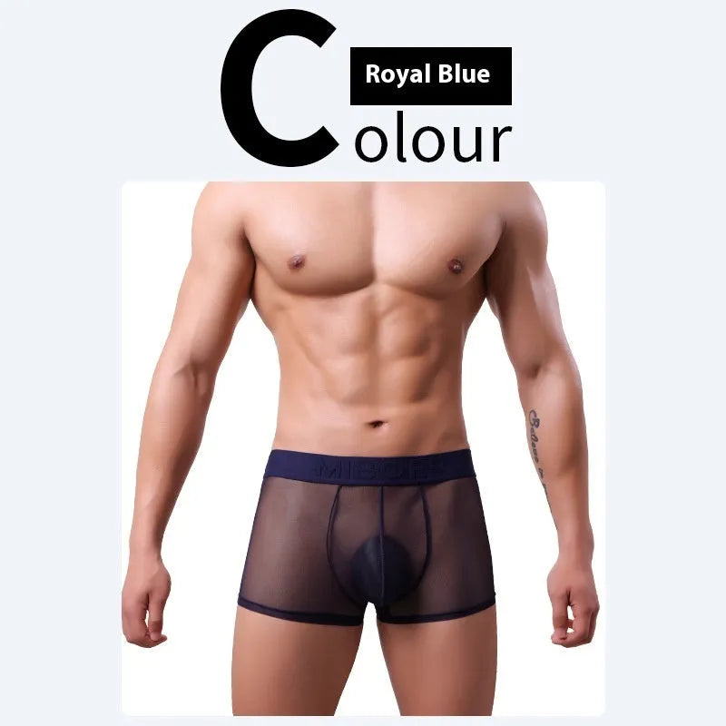 Men's thin polyester boxer shorts in six solid colours on a white background.