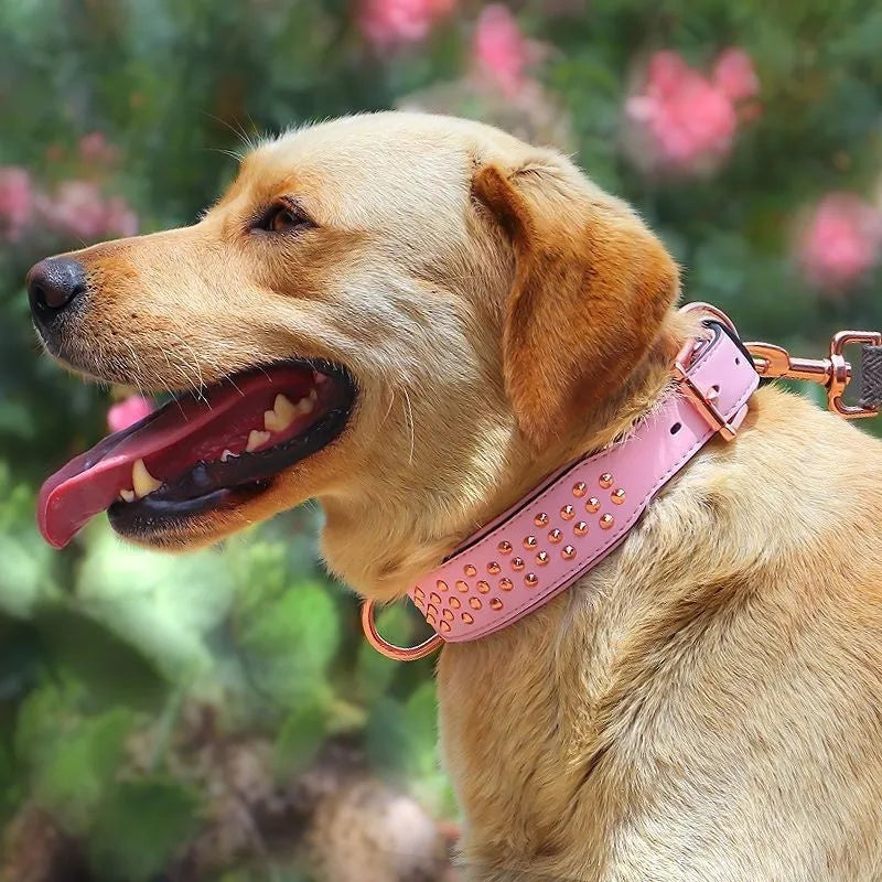 Leather dog collar with metal rivets in black, chocolate, or pink colour, shown in L and XL sizes.