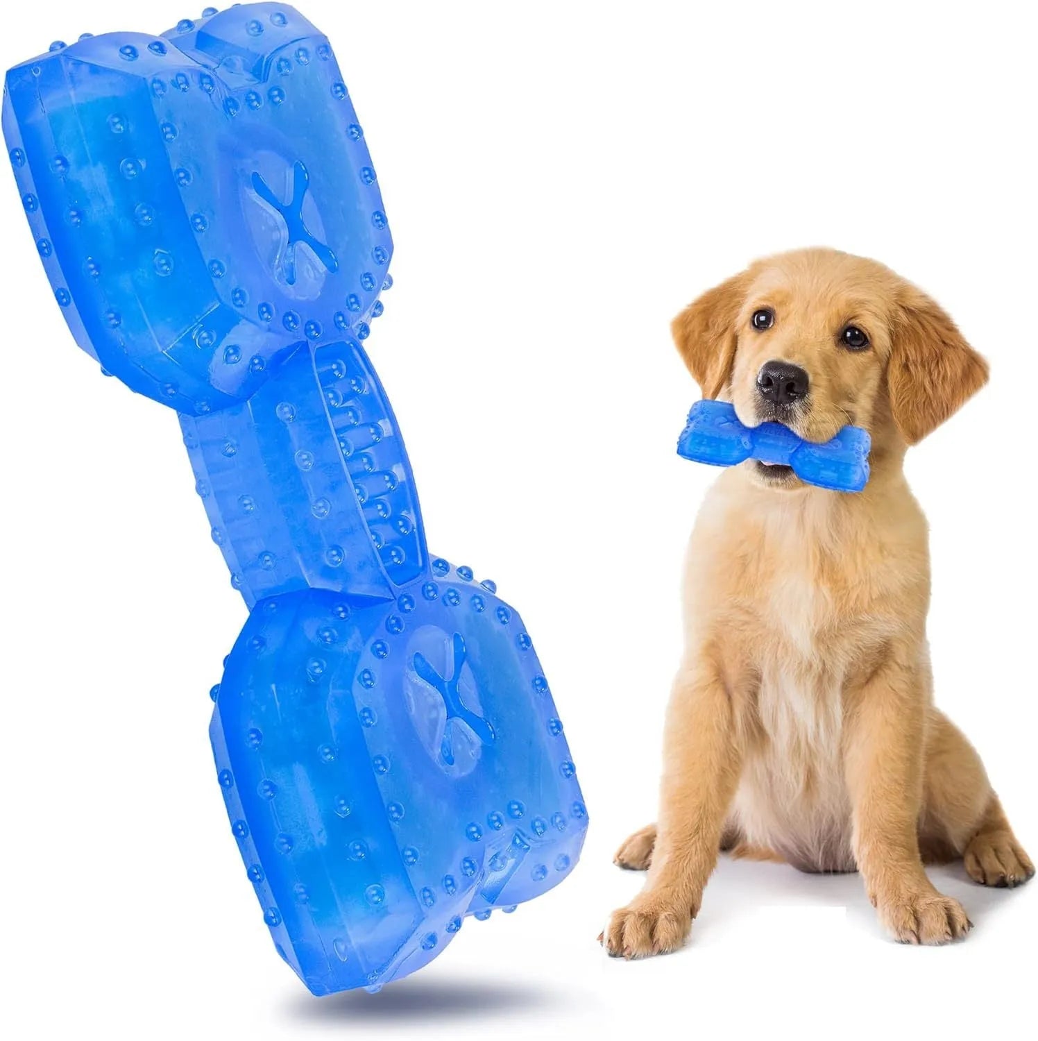 Freezable water-filled dog cooling teether chew toy in bone and circle shapes