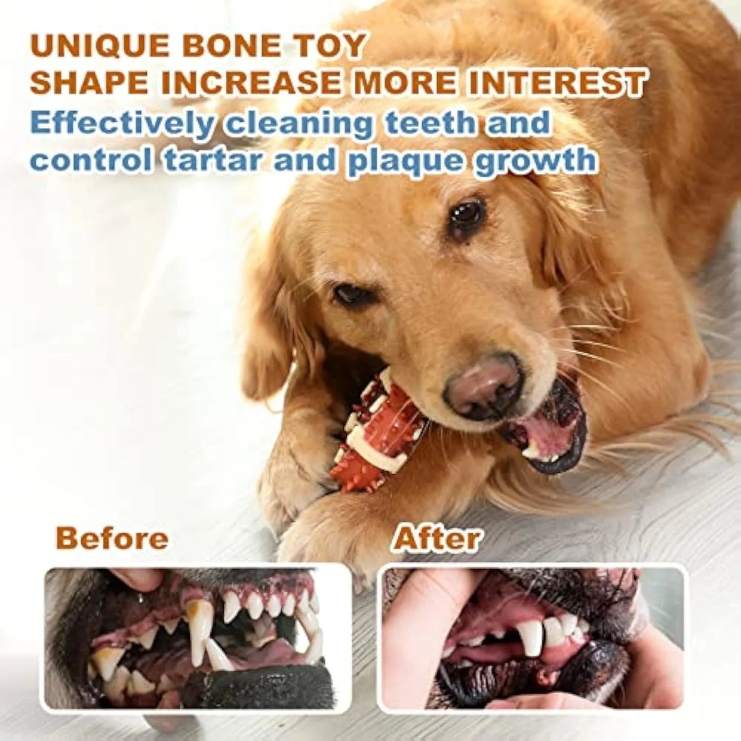 Bone-shaped natural rubber dog molar toy for teeth grinding in two sizes