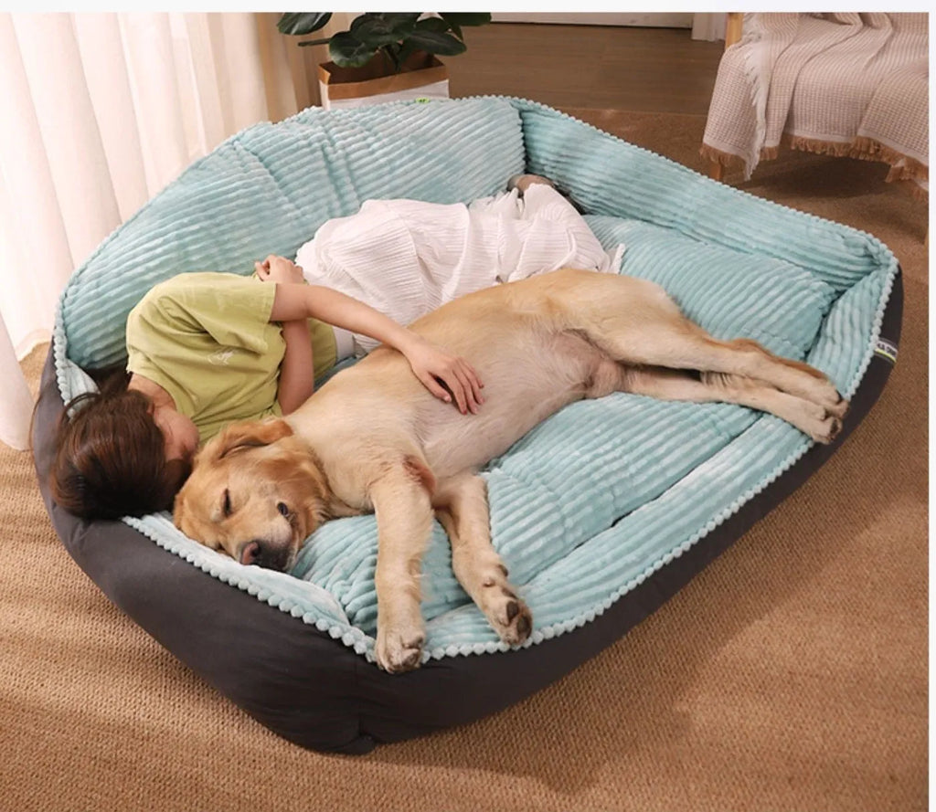 Winter warm removable washable dog kennel bed in Light Green with velvet and imitation leather construction