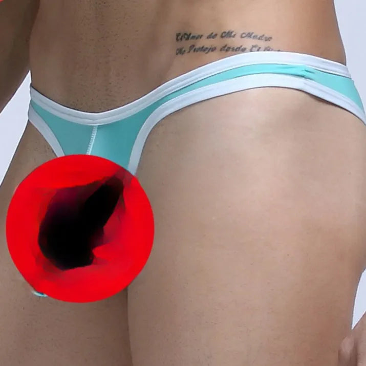 Men's Ice Silk nylon briefs in elephant nose small pouch design, shown in multiple colours.