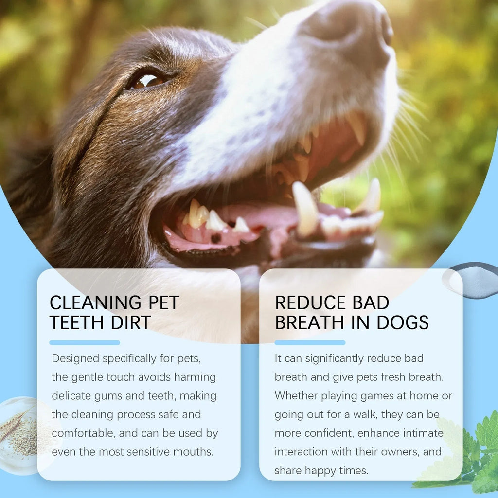 Pet toothbrush pen with integrated 3ml breath freshening gel reservoir for dog and cat dental care