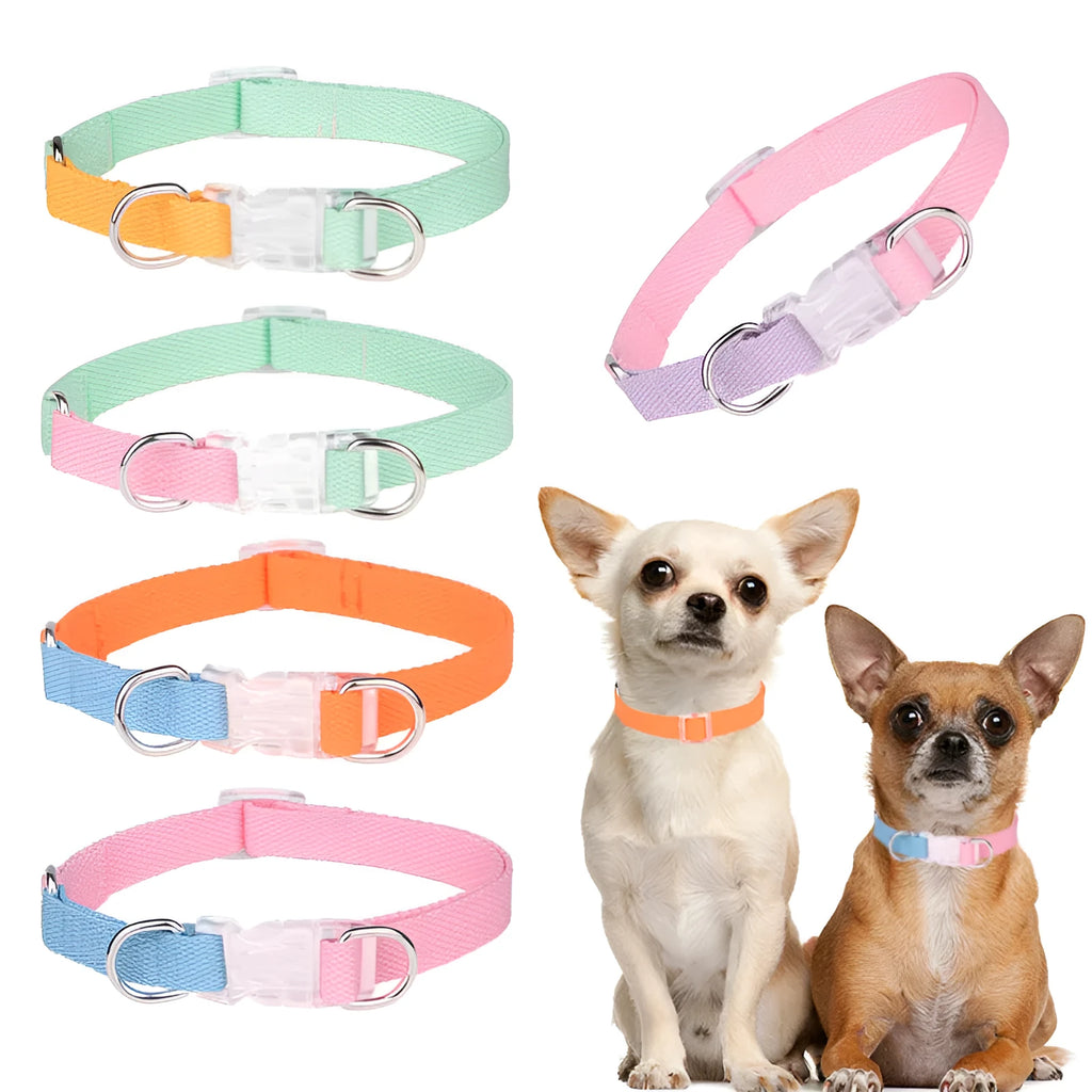 Polyester dog collar and leash set with chest strap in green and pink colour combination