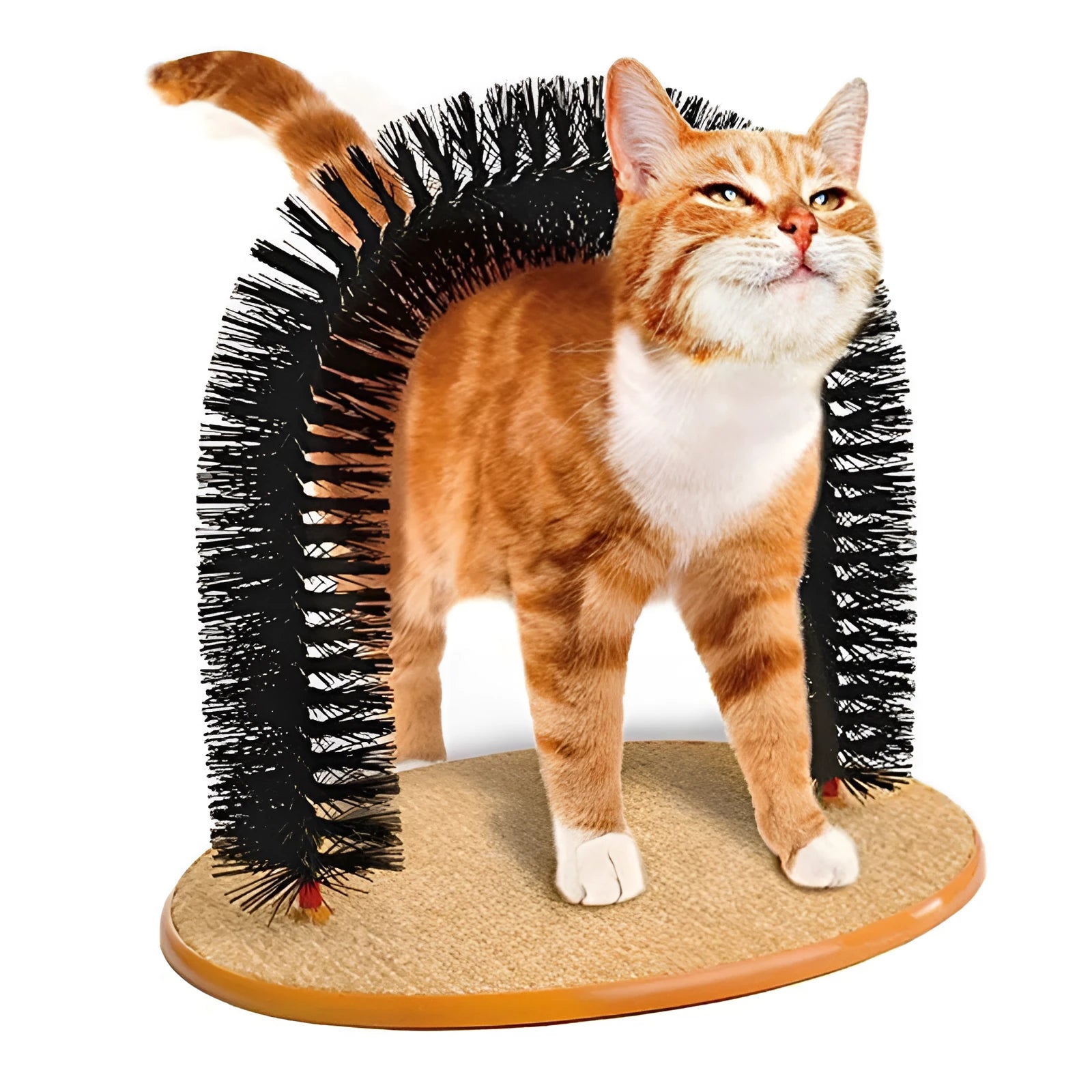 Arched cat grooming station with built-in brush bristles for scratching and coat maintenance