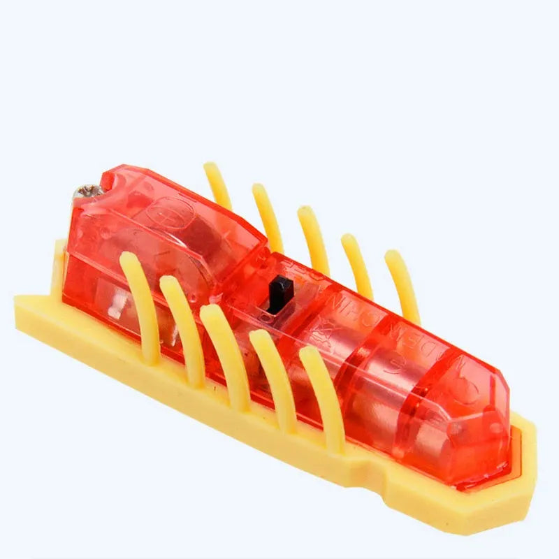 Miniature electric ladybird beetle cat toy on floor showing size and insect shape
