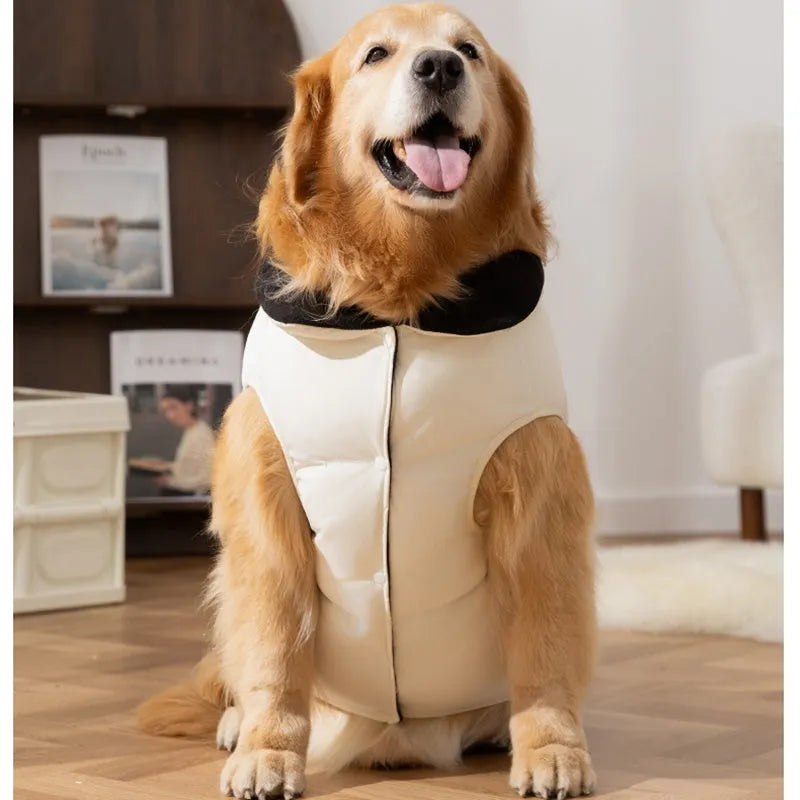 Winter cotton-padded vest dog coat for large Golden Retriever with zipper pocket, black colour