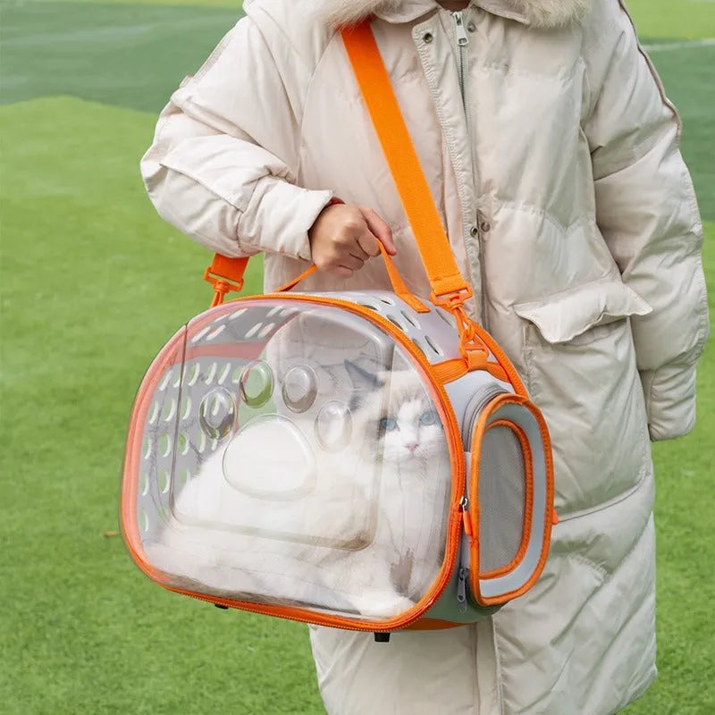 Transparent hard-shell cat backpack carrier in space capsule design with foldable feature