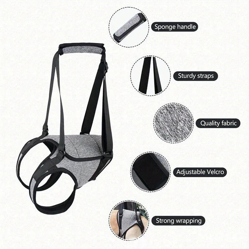 Grey neoprene dog rear leg recovery support belt with adjustable straps shown on size chart.