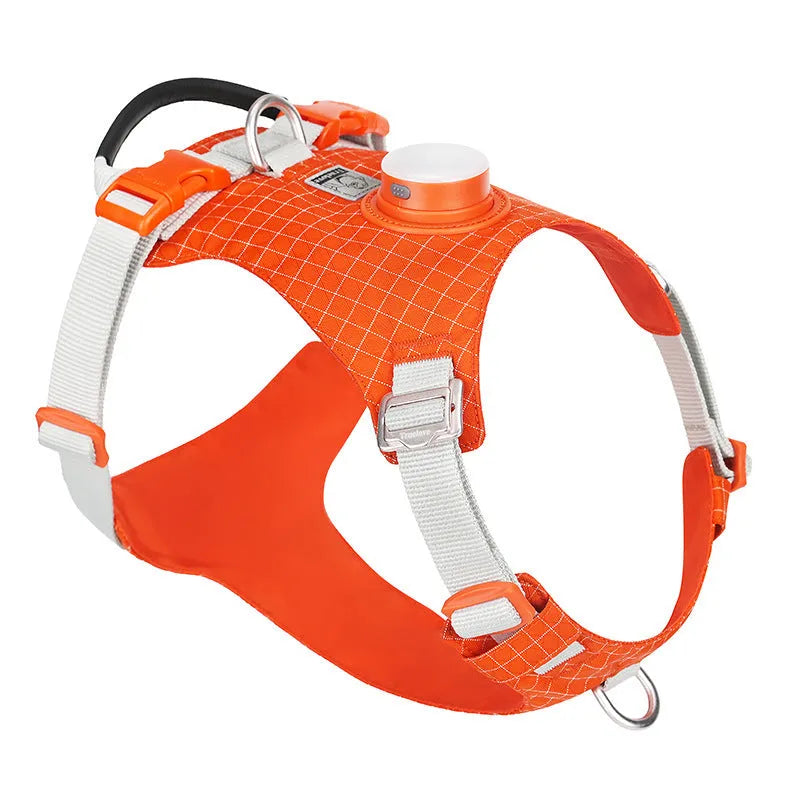 Adjustable nylon dog harness with LED light in various colour options