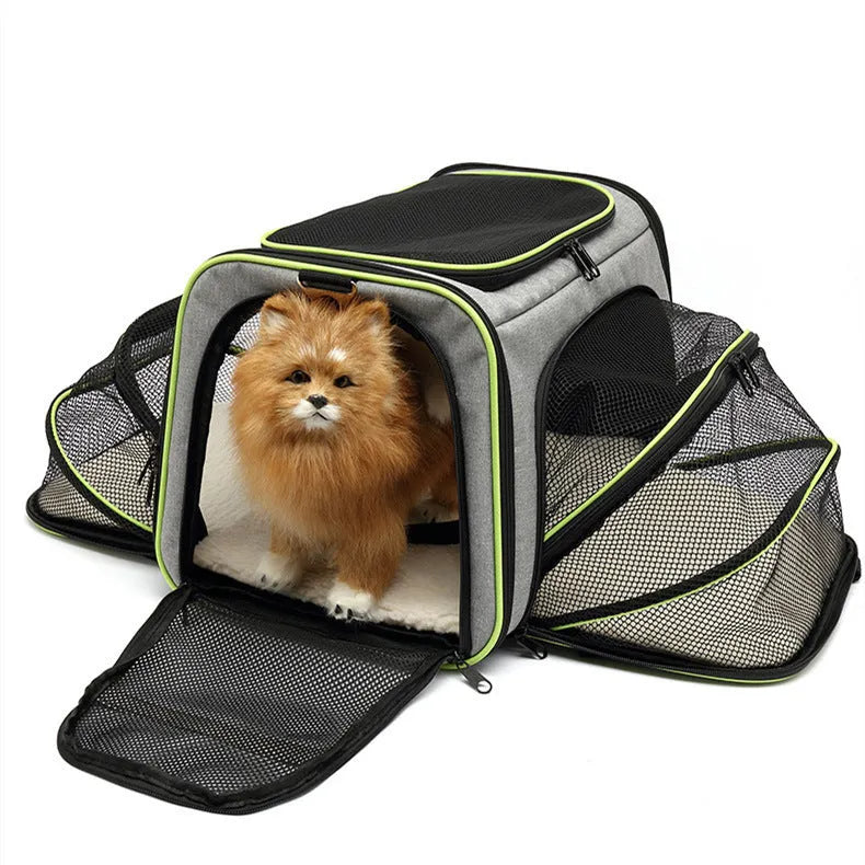 Large capacity cat bag in 600D cation fabric available in small and large sizes with four colour options