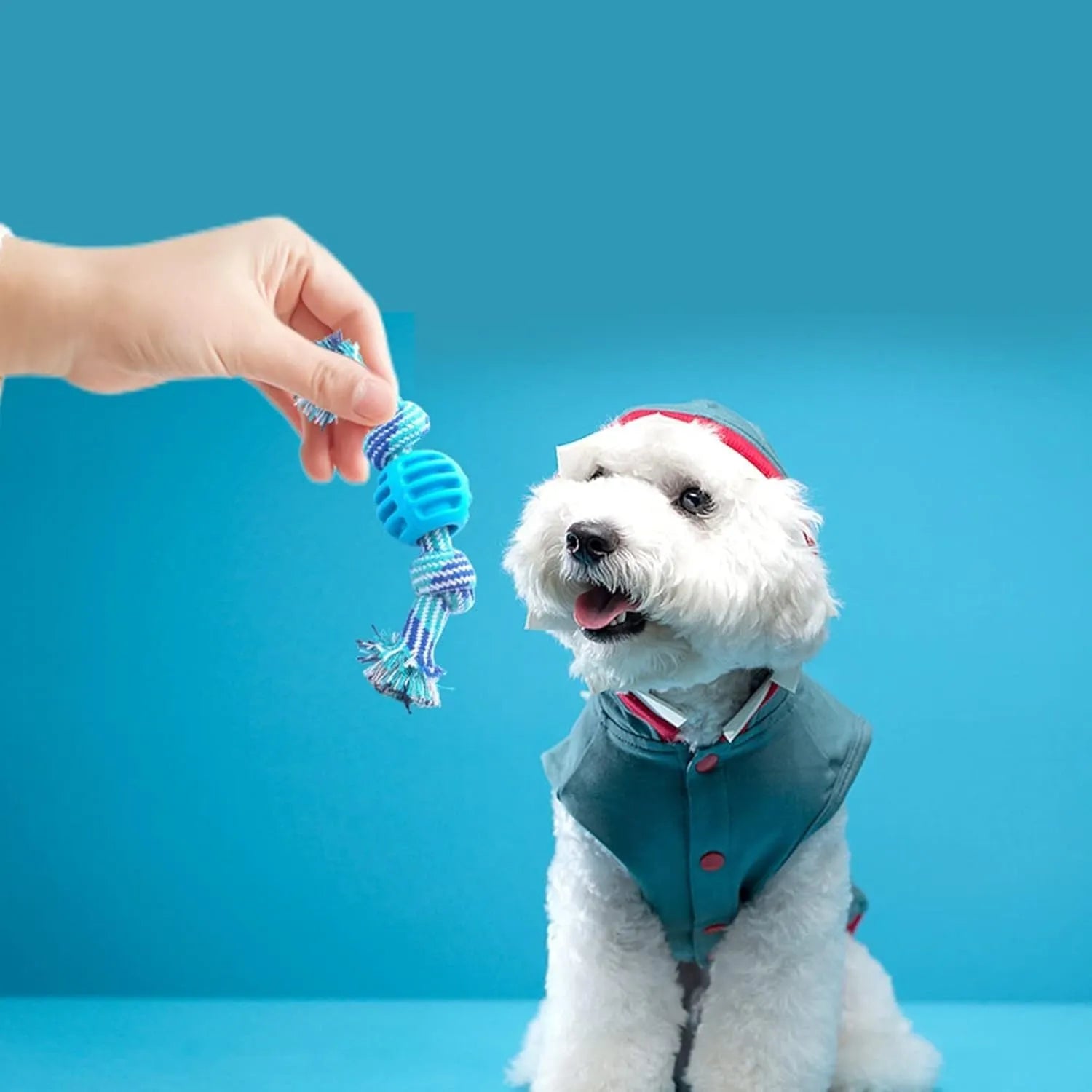 Blue dog chew toy with integrated rope cord for dental cleaning and oral health maintenance