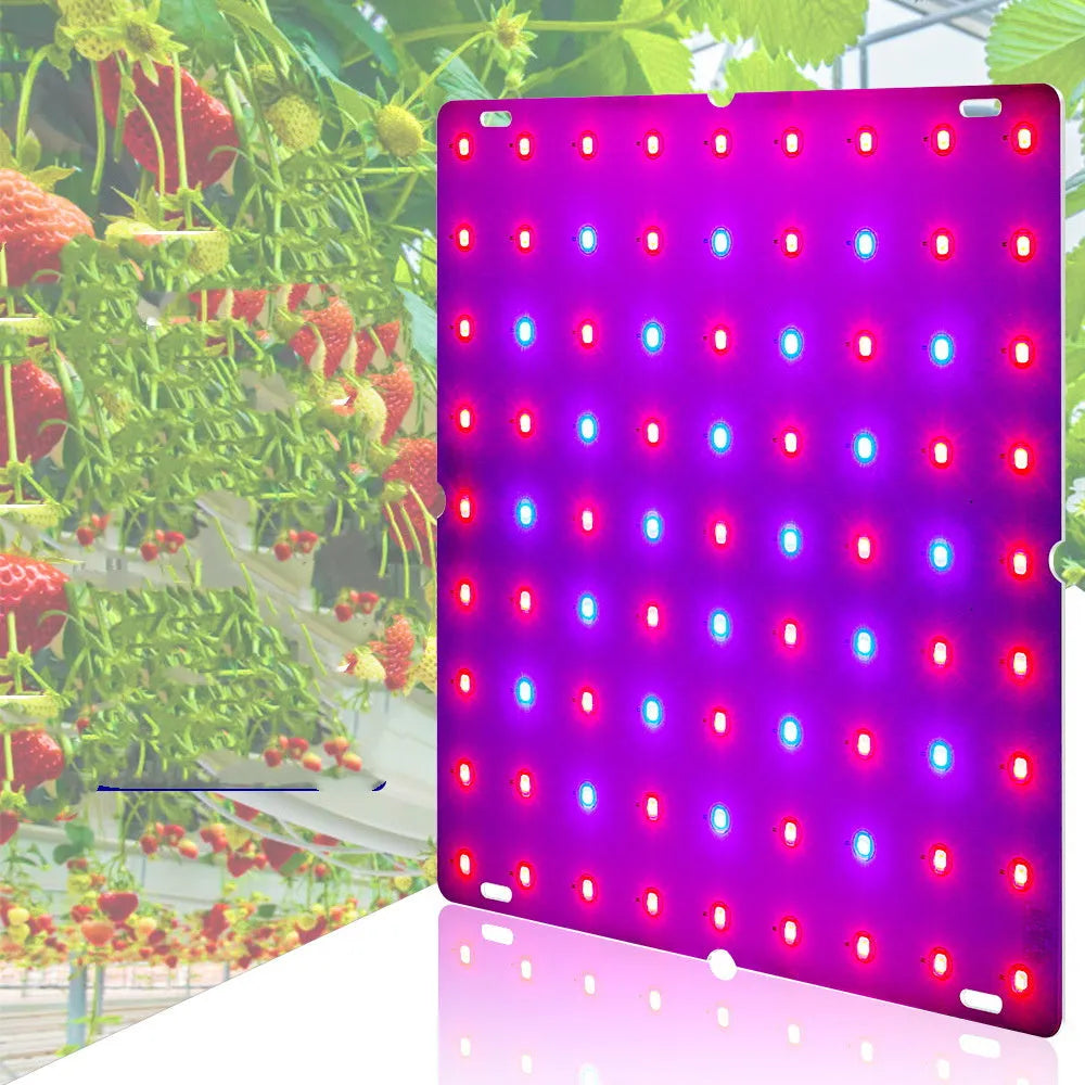 D-section aluminium LED plant light with hook for growing fruits and vegetables indoors.